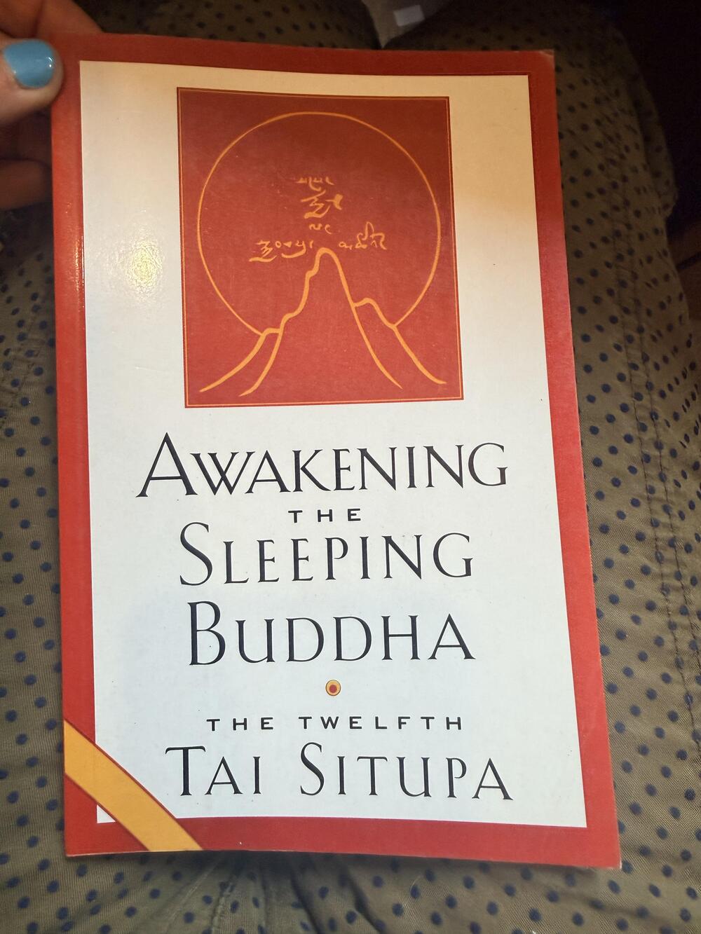 Awakening The Sleeping Buddha Pema Donyo Nyinche Shambhala Red Paperback